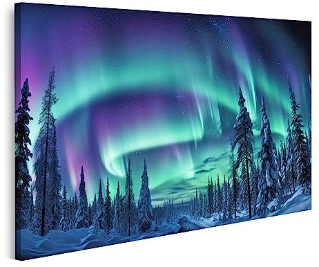 islandburner Prime Bild auf Leinwand Polarlicht Beleuchteter Nachthimmel Bilder Wandbilder Poster