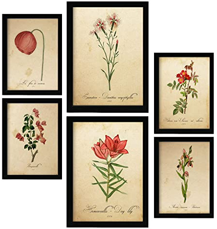 Nacnic Posters di Fiori Rossi. Manifesti Naturalistiche e Botaniche a Colori con Temi Floreali in Stile Carta Vintage. Progettazione e decorazione d'interni. A4 & A3.