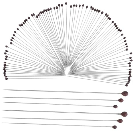 Holibanna 300 Pièces Aiguilles à Acier Inoxydable pour Montage Insectes Épingles de pour Entomologie Fixation Sécurisée pour Expositions et Usage Éducatif Laboratoire