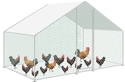 SWANEW Hühnerstall 3x2x2m Freilaufgehege XL mit Schloss, Außengehege Verzinkter Stahl Kleintierstall Kleintiergehege Outdoor Geflügelstall, für Hühnerkäfig Vogelkäfig Kleintiere Haustierkäfig