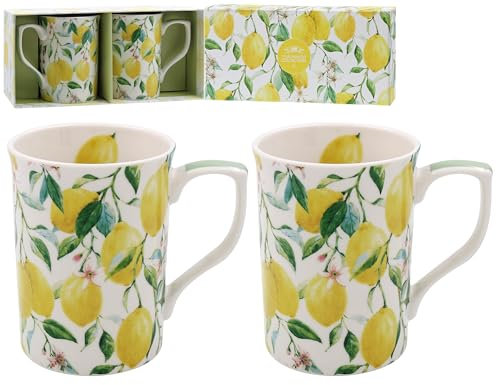 Lesser & Pavey Set of 2 British Designed Coffee Mug | Ceramic Coffee Mugs for Home or Work | Large Mugs for Hot Drinks | Tea and Coffee Cups (Lemon Grove Mug Set 2)