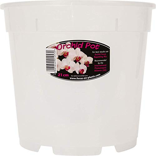 2X Clear Orchid Pot - White 21cm
