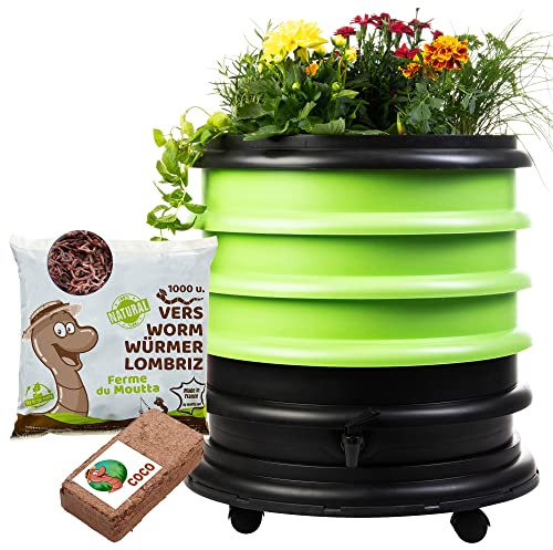 WORMbox | Vermicompostaggio 3 Vassoi Anice Verde + Fioriera per piante + 500g di Vermi Lombrichi / 1000 pz. + 1 Cocco | 48 Litri | Compost di Rifiuti Organici Compostiera Vermifuga Lombricompostiera