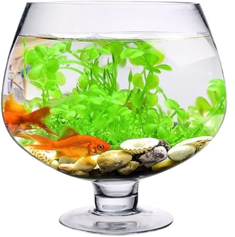 CSYQPDMBDL Kugelaquarium, Goldfischglas, Fisch Schüssel Verdickt Transparent Glas Aquarium Wohnzimmer Desktop Schildkröte Tank(23.3cmx17cm)