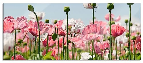 Pixxprint Glasbild Panorama, Wandbild aus Echtglas, Blumenwiese Mohnblumen, 120x50 cm, inkl. Aufhängung und Abstandshalter