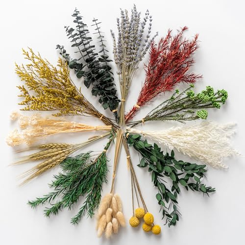 Celblisora 12er Set getrocknete Blumen–Enthält Lavendel,Eukalyptus,Weizen,Hasenschwanzgras, handgefertigt für DIY Bastelarbeiten,Vasendekoration,Hochzeits Dekorationen