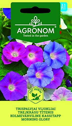 AGRONOM | DREIFARBIGE WINDENGEWÄCHSE | Blumenssamen | Blumen wachsen schnell und sind pflegeleicht | Einjährige Pflanze | Pflanze samen | Die Blumen sind grell, glockenförmig | 1 Pack