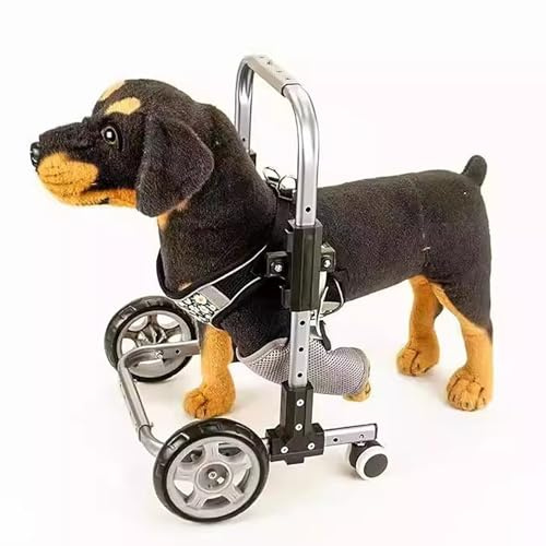 Oracra Hunderollstuhl Rollstuhl für Kleine Hunde Zur Unterstützung Der Vorderbeine Verstellbarer Gehwagen für Behinderte Hunde 2-rädrige Gehhilfe für Hunde Mit Arthritis(Small - 8kg (18.7lbs))
