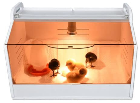 Geflügel Kükenbrüter Brutbox Ausrüstung, Brutinkubator Küken Kükenwärmebox Kükenhaus Vollautomatische mit Thermometer und Wärme Lampe Kükenaufzuchtbox für Geflügel, Reptilien und Kleintiere Brutbox