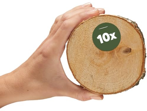 Kleine Holzscheiben 10 cm zum Holz-Deko Basteln - 10 Stk. runde EU Birkenholz Baumscheiben