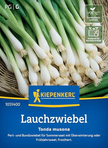 Kiepenkerl Lauchzwiebelsamen Tonda musona 1051400 - Gemüsesamen für Perl- und Buntzwiebeln mit einer Wuchshöhe von 30 bis 40cm - Gemüse Pflanzen, Saatgut