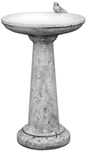 gartendekoparadies.de Vogel-Bad mit rundem Sockel, Grau, H. 76 cm, 47 kg
