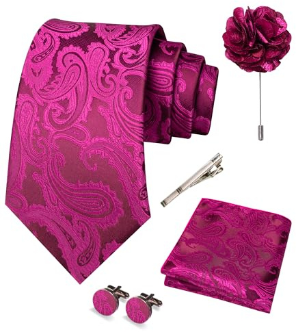 RBOCOTT Paisley Tie and Pocket square With Cufflinks,Lapel Pin,Tie Clip Sets for Men 5PCS