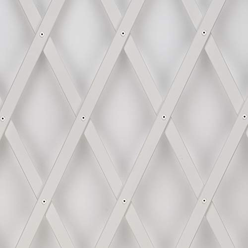 Treplas 1,00x2 m, Bianco, Traliccio Estensibile in PVC per Sostegno a Muro di Fiori e Piante Rampicanti