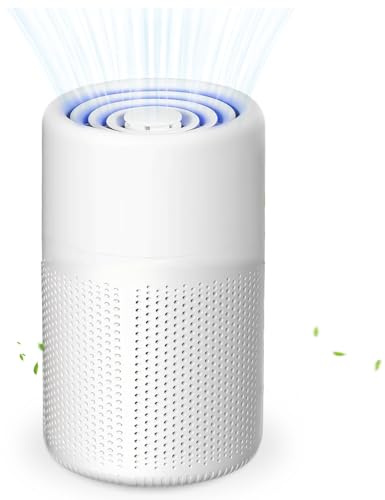 Portable Air Purifier for Home & Bedroom – H13 True HEPA Filter, USB Desktop Air Cleaner, Quiet for Night Use, Eliminates Dust, Odours – with Aromatherapy Diffuser, Ideal for Office & Better Sleep