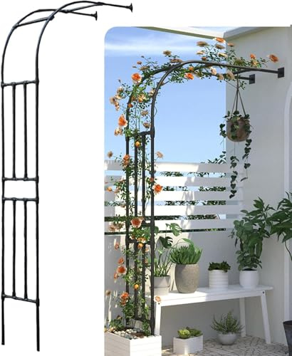 Arche de Jardin Demi-côté, tonnelle de Jardin Robuste, Cadre en Acier, Demi-Arc pour Plantes grimpantes. (40 x 180 x 240cm)