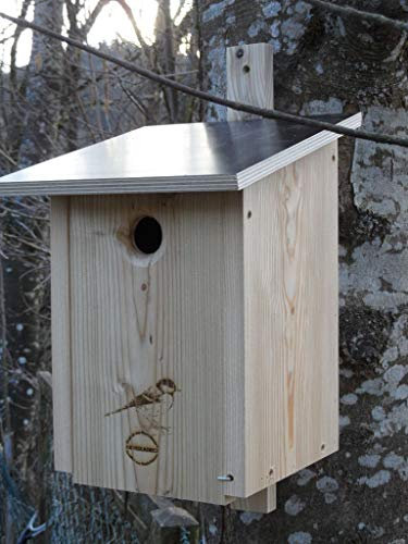 Premium Natur Lärchenholz Nistkasten unbehandelt nach Nabu Kohlmeise 32mm Einflugloch, massives Vogelhaus Nisthilfe wetterfest 18mm stark verschraubt, mit Befestigungsmaterial