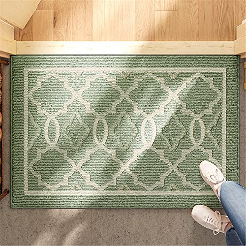 THRILRUG Dörrmatta för inomhusbruk, 50 x 81 cm, halkfri absorberande maskintvättbar motstår smuts entrématta, lågprofil ytterdörrmatta för bakdörr inomhus golvmattor för entré – grön spaljé