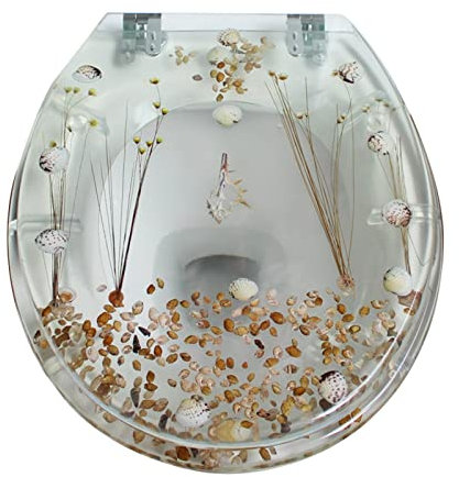 LYLFF Retro-Harz Ovu WC-Sitz, 3D-Effekt-Hochleistungs-Verlangsamter WC-Sitz, Harzfarbe Transparente Edelstahl-Schnellversion