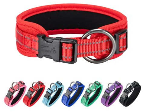 EXCELLENT ELITE SPANKER Klassische Hundehalsband PU Material Haustierhalsband mit Schnalle einstellbar für kleine mittlere große Hunde Walking Training schwarz rot blau(RED-S)