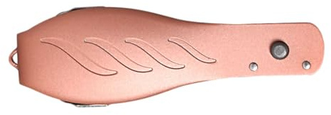 FRCOLOR Raspa per Piedi in Acciaio Inossidabile Pieghevole per Rimozione Calli e Pelle Morta, Strumento Pedicure Professionale per Uso Domestico e Salone