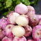 300 piezas Compre semillas de ajo, ajo de invierno, ajo vegetal, Semillas de jardín, semillas de plantas de interior. Semillas de ajo resistentes Balcón Semillas De Hortalizas Cama
