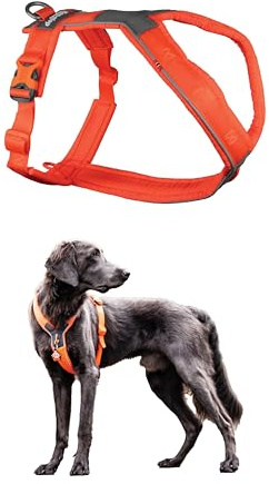 Non-stop dogwear Line Harness 5.0, Gepolstertes Hundegeschirr für kleine, mittlere und große Hunde, gemacht fürs Wandern, Sport und den aktiven Alltag, Größe 6