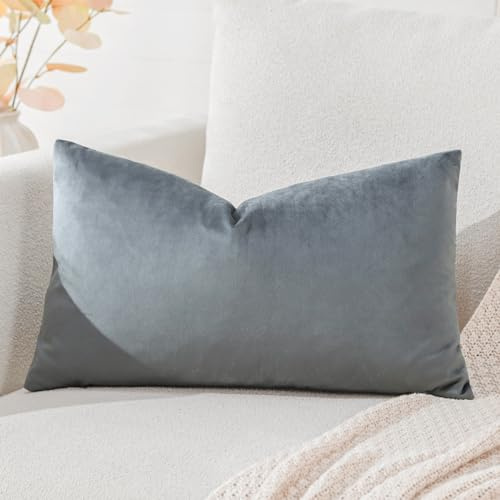 Artscope sammet örngott dekorativa dekorativa kuddar soffkuddar ländryggskuddar kuddfodral soffa sovrum 40 x 60 cm grafit grå
