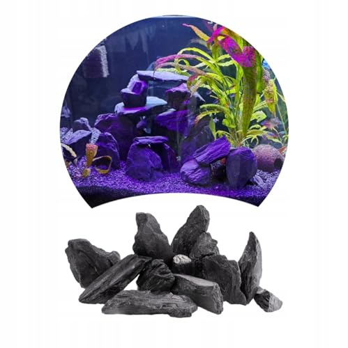 TD STONES Aquarium Steine Schwarz Holz 1kg Schieferplatte – Natursteine Deko für Aquascaping Höhle – Terrarium Zubehör Dekosteine Schwarz Wasserneutral