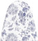 MinoCino Large Ironing Board Cover 140x45cm, Wide Iron Board Cover with 6mm Thick Felt Padding, Drawstring, Hook and Loop Fasteners, Floral and Butterflies Printed