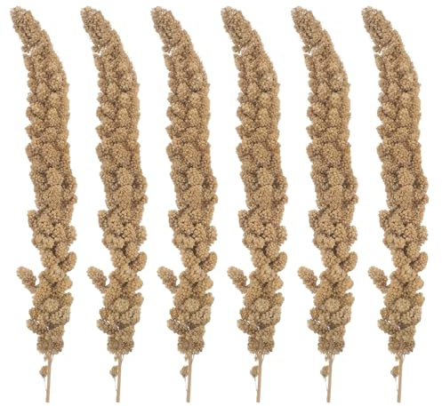 JOINPAYA Getrocknete Hirse Leckerli für Papageien und Wellensittiche Natürlicher Vogelsnack 500g Vitaminreiches Trainingsfutter für Kleine Ziervögel