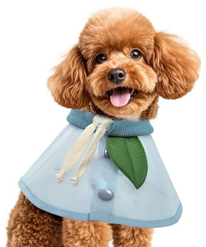 Cono Per Cani Proteggi Collo Anti Leccamento