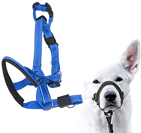 Cocoarm Collare per Testa per Cani, Cavezza Regolabile per Cani in Nylon Traspirante, Fascia Bocca Comoda per Controllo del e Prevenzione della Tirata (XL)