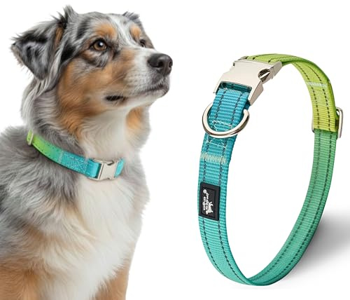 Halsband Hund – Wasserdicht mit Reflektierendem Metallverschluss – 33–55 cm(Mittel Hund)-Verstellbares Halsband aus Nylon und Fluoreszierender Naht Buntes Hundehalsband