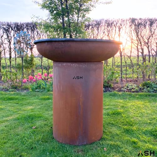 Plancha - BBQ - Brasero - Barbecue - Acier Corten - Plaque de cuisson - Extérieur - Plancha - Anneau de barbecue - Cheminée de jardin - Barbecue - Aspect luxueux - Plaque de cuisson