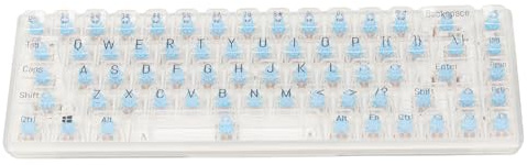 XUMIUZIY Tastiera Meccanica del 60 Percento, 68 Tasti Retroilluminati RGB, Keycap Trasparenti, Antipasto, Tastiera da Gioco per PC USB a Battitura Portatile per Computer Desktop, PC e
