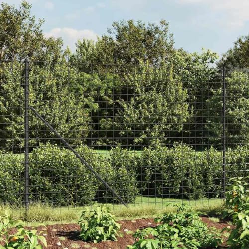 Chain Link Fence, Anthracite, 1.8 x 25 m, Galvanised Steel, PVC-Coated, 100 x 100 mm Mesh Size, Robust Garden Fence for Property, Animal Enclosures, Privacy Screen