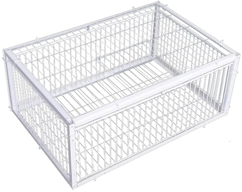 Trampa de Metal para Palomas, Trampa para pájaros con entradas de Acceso unidireccional, claraboya para Granjas, graneros, Jardines, cría de palomas/16x12x10 Pulgadas