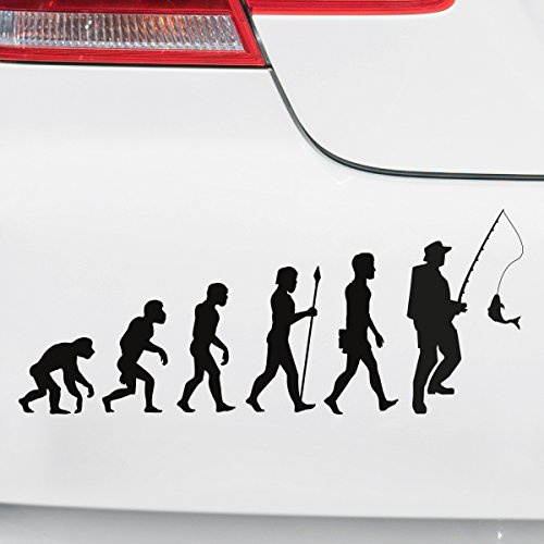 Motoking Autoaufkleber - Lustige Sprüche & Motive für Ihr Auto - Evolution Angeln - 25 x 10,2 cm - Weiß Seidenmatt