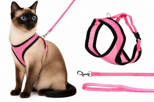 pettorina gatto - pettorina Harms rosa con guinzaglio abbinato - nylon traspirante e regolabile - 32cm / 36-48cm / 110cm