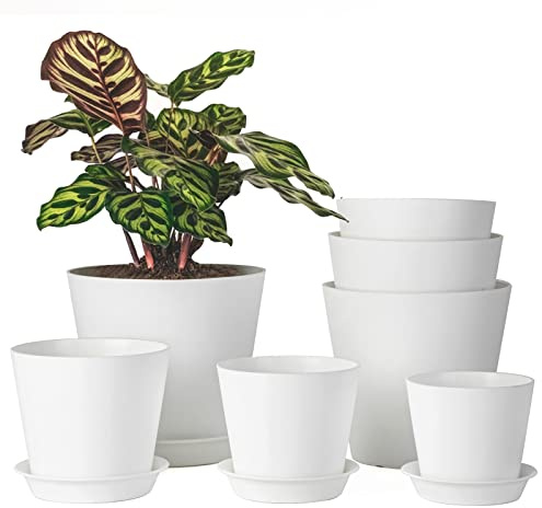 LaDoVita Paquete de 7 macetas de plástico para Interiores, macetas Modernas de 7/6.5/6/5.5/5/4.5/4 Pulgadas para Plantas, macetas con Agujeros de Drenaje y bandejas, Color Blanco