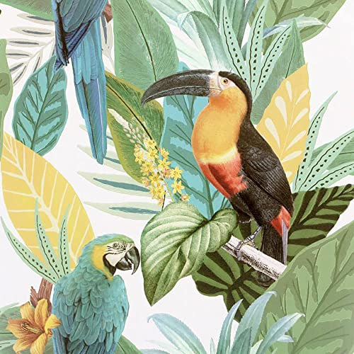 Full Roll Toucan Jungle Wallpaper Tropical Palm Birds Green Textured Vinyl