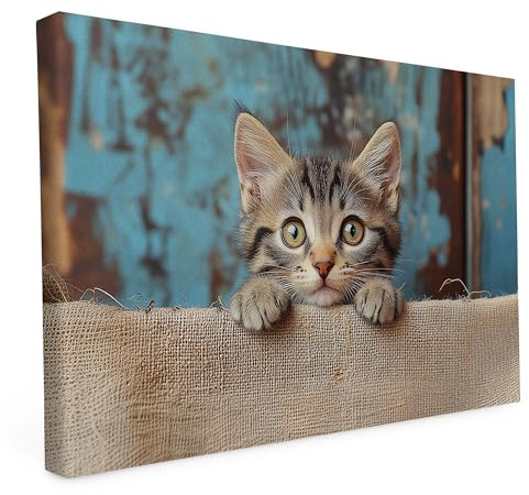 Keilrahmen - Katzen und Hunde Motive - Wandbild auf Künstler Leinwand – Hochwertiger Kunstdruck - 2cm Holzrahmen mit 280g Canvas - Miau, 60x40 cm - Quer