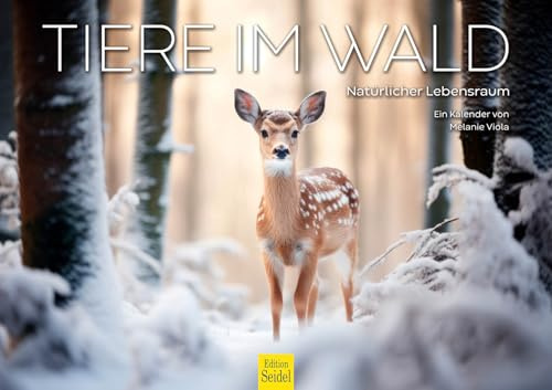 Edition Seidel Calendario premium de animales en el bosque 2026, formato DIN A3, calendario de pared, calendario de animales, animales del bosque, hábitat natural, Melanie Viola