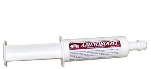 Rekor Nahrungsergänzung Pferd Aminoboost