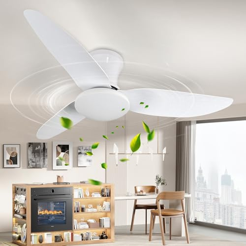 Bellanny Deckenleuchte mit Ventilator, 100cm Deckenventilator mit Beleuchtung, Deckenlampe mit Fernbedienung | 3000~6500K, Dimmbare,6-Gang,Speicherfunktion, Leise LED Lampe für Wohnzimmer Schlafzimmer