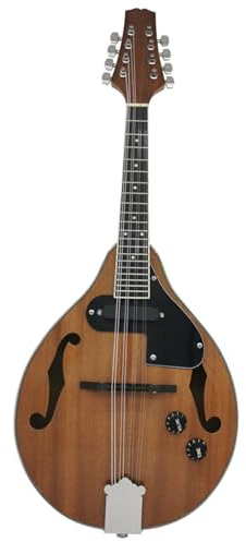 Mandolin For Beginners National Musical Instrument Mandolin Guitar Eight-string Mandolin Electric Mandolin(C)