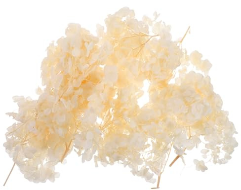 NULYLU Pétales D'hortensia Séchés Beige pour Décoration Mariage Vintage, 30g, Pétales de Fleurs Préservées Élégantes pour Confettis et Centre de Table
