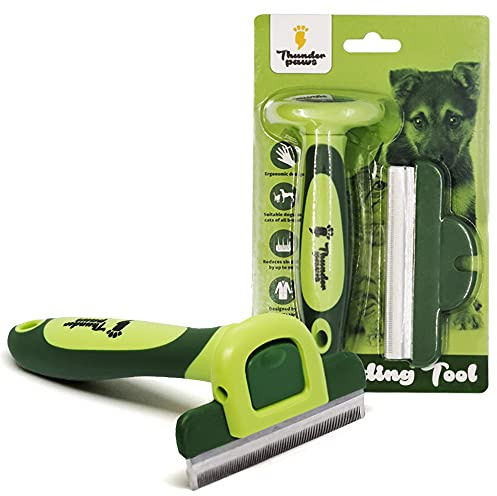Thunderpaws Profi-Fellpflegewerkzeug, De-Shedding-Bürste für Haustiere, D-Shedz für Hunde oder Katzen mit kurzem oder langem Fell, für kleine, mittlere und große Rassen (Grün)