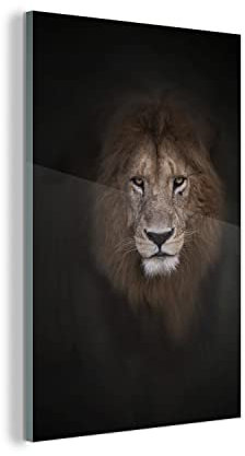 MuchoWow Glasbild Glasfoto Wandbild Bilder Deko 80x120 cm Löwe - Schatten - Wild
